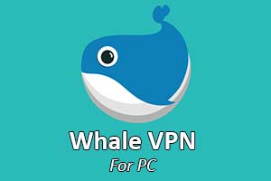 Whale VPN For PC