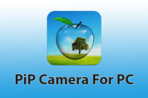 PiP Camera for PC