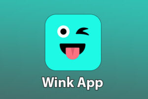 wink app for pc