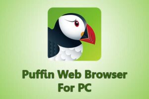 Puffin Web Browser For PC