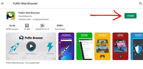 Puffin Web Browser Install