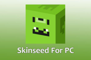 Skinseed for pc