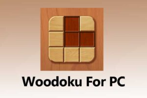 Woodoku For PC