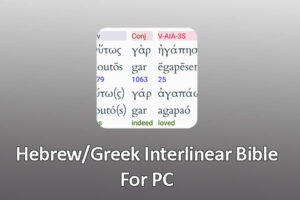 Hebrew Greek Interlinear Bible for PC