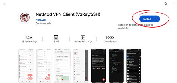 NetMod VPN Download