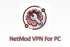 NetMod VPN For PC
