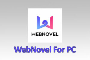 WebNovel For PC