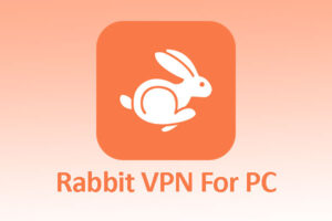 Rabbit VPN For PC