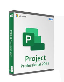 Microsoft Project 2021 Professional